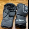 MMA Gloves-BLACK Photo 2